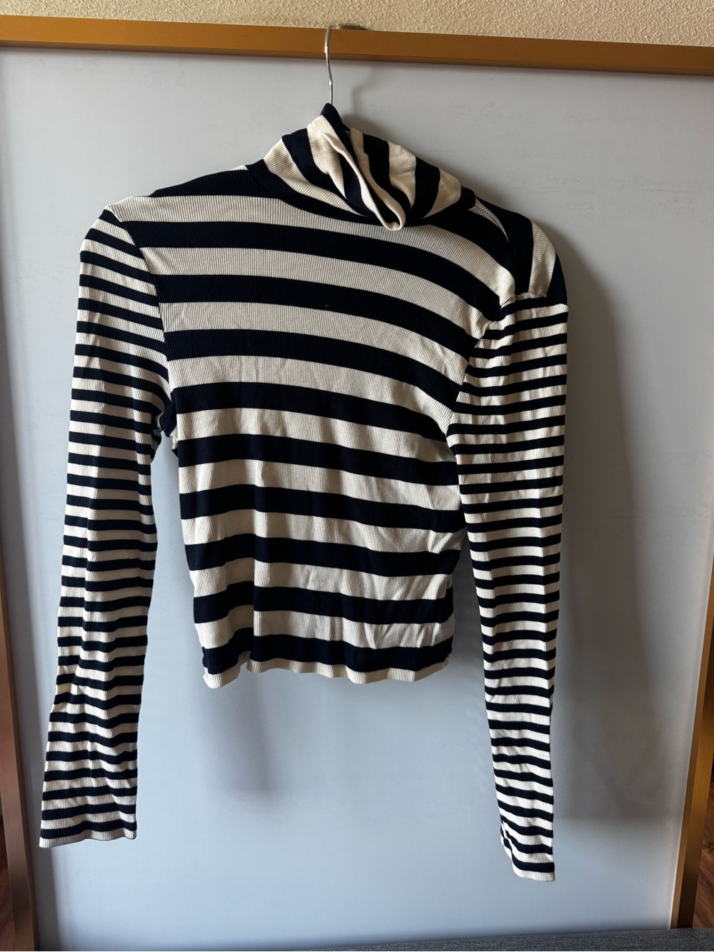 Madewell Black and White Striped Turtleneck Long-Sleeve Top